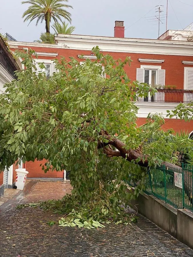 Guest house B-Montedidio Hotel Naples